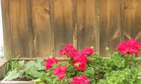 DSCN3470.jpg