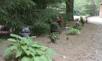 DSCN3520.jpg