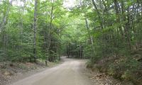 DSCN3462.jpg