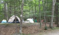 DSCN3509.jpg